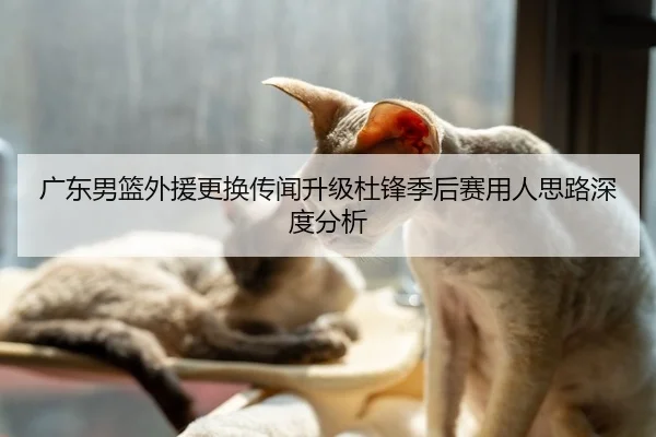 广东男篮外援更换传闻升级杜锋季后赛用人思路深度分析