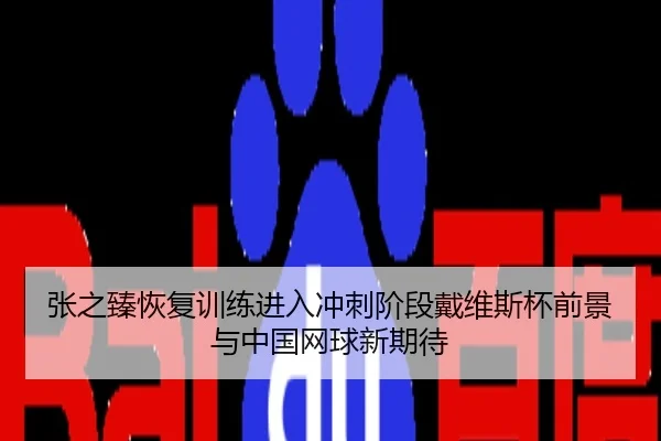 张之臻恢复训练进入冲刺阶段戴维斯杯前景与中国网球新期待